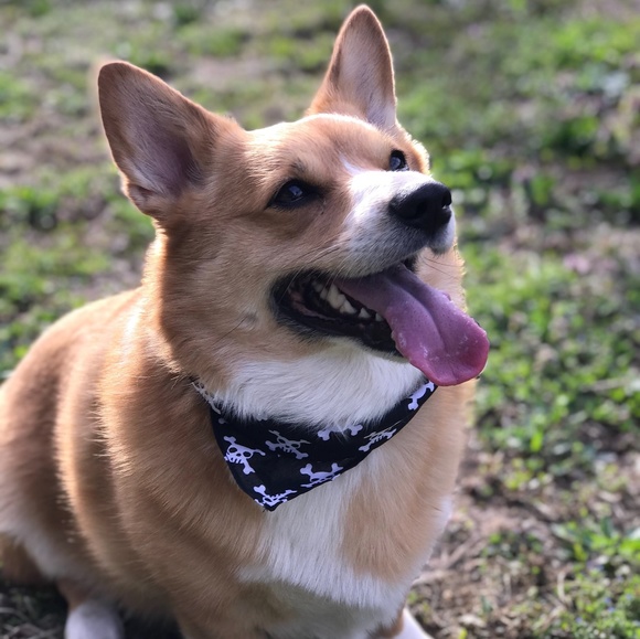 Meet your Posher, Sarah - Picture 2 of 6